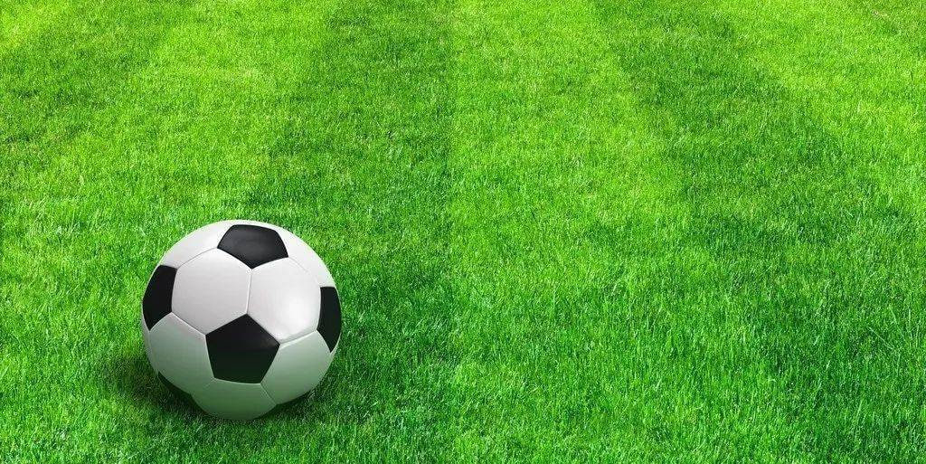 雷速体育APP界面展示